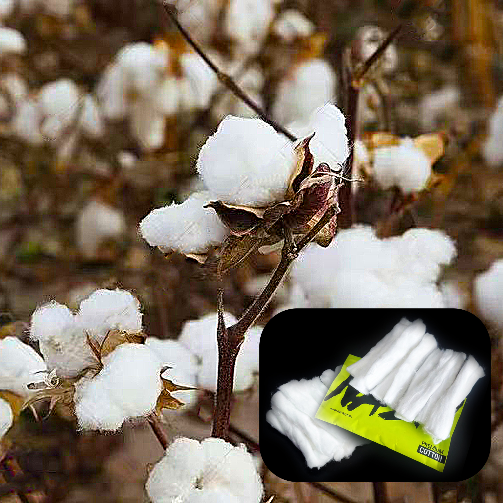 10/5/3Packs Home DIY Natural C - Cotton Wick Organic recensie en prijs